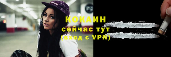 гашик Сатка