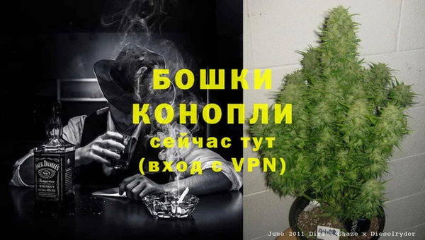 mix Бородино