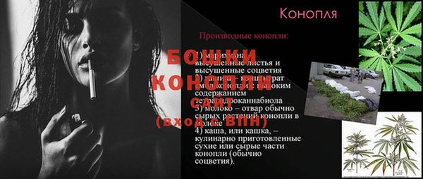 ГАЛЛЮЦИНОГЕННЫЕ ГРИБЫ Богородицк